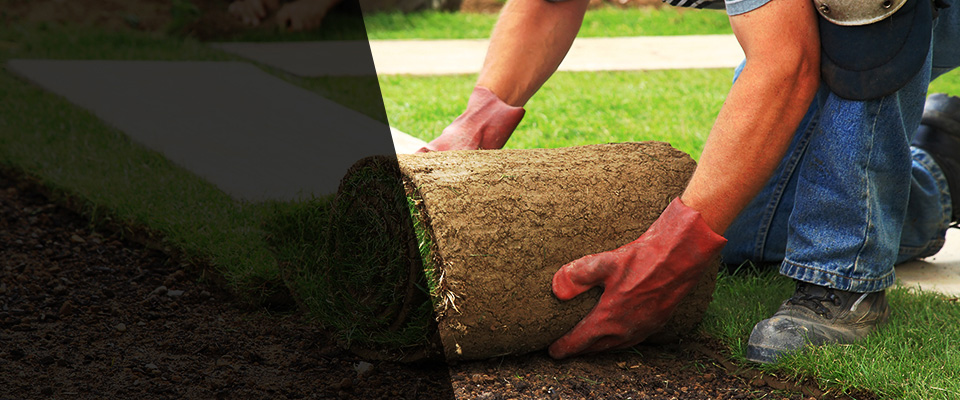 Newcastle Landscapers